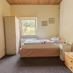 Gemuetliches Haus Inmitten Schoener Mit Garten & Parkplatz *